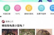 九一网页版免费在线电脑网页版,免费在线电脑网页版深度解析